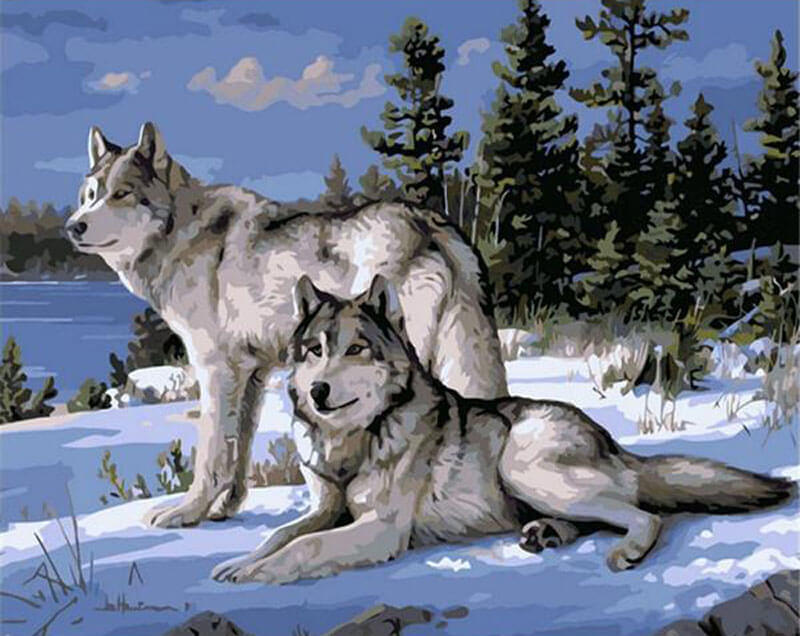 Snowy Wolves Paint-By-Numbers Kit